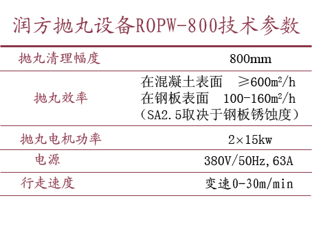 太阳成集团tyc122cc入口抛丸设备ROPW系列 ROPW-800技术参数